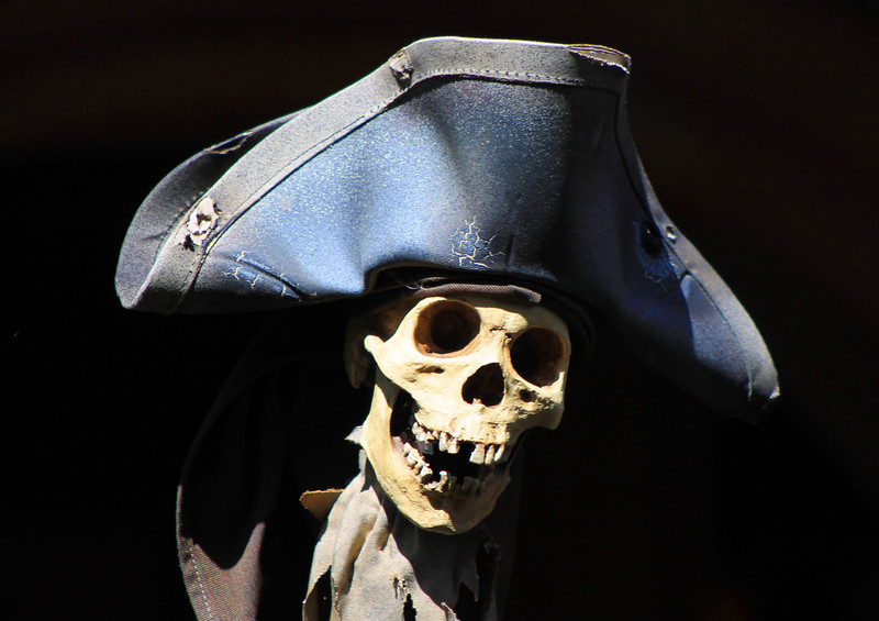 Photo & Video Sharing by SmugMug