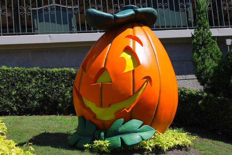 Photo & Video Sharing by SmugMug