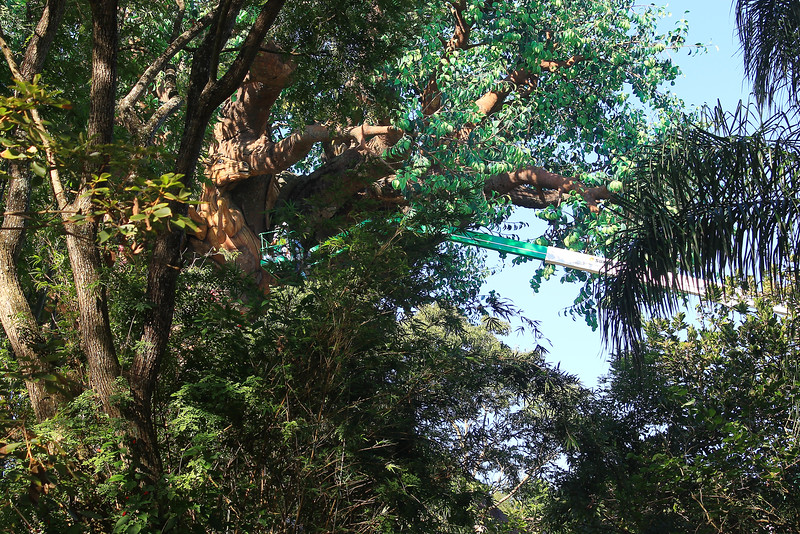 Photo & Video Sharing by SmugMug