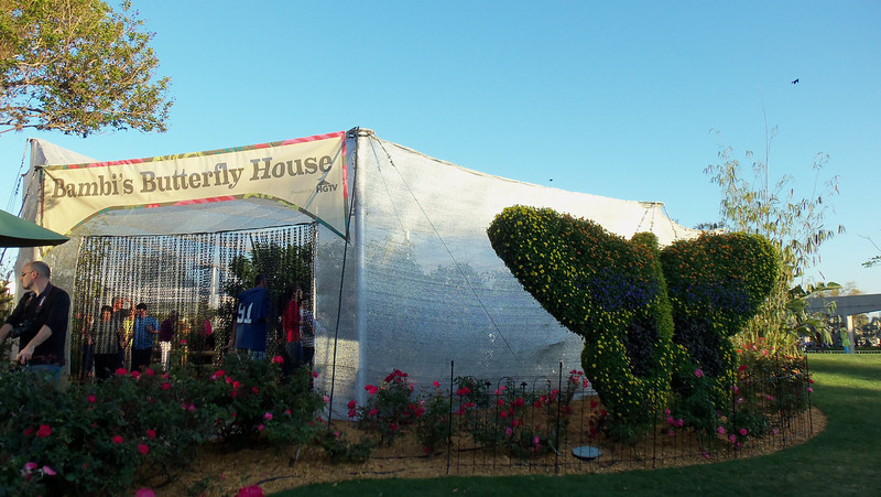 The Butterfly House now belongs to Bambi and friends