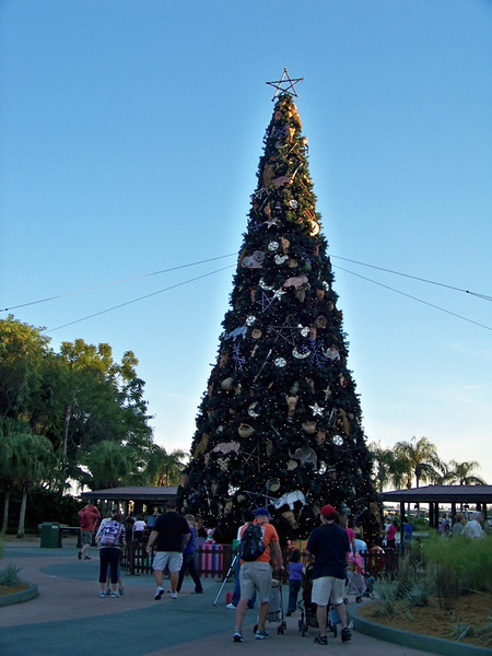 Photo & Video Sharing by SmugMug Photo & Video Sharing by SmugMug