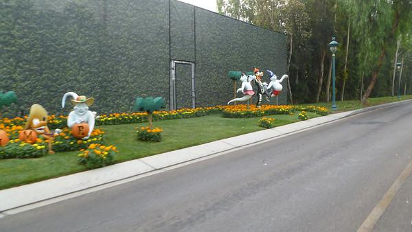 Photo & Video Sharing by SmugMug Photo & Video Sharing by SmugMug