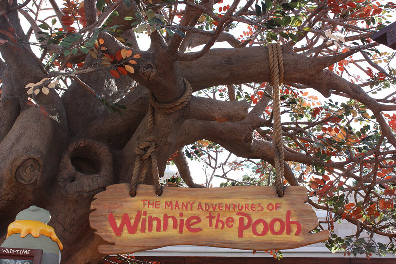 Photo & Video Sharing by SmugMug Photo & Video Sharing by SmugMug