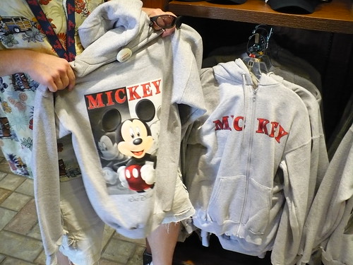 P1010358 by logics-of-krypton.