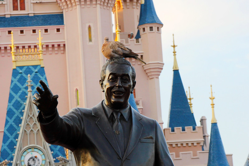 Photo & Video Sharing by SmugMug