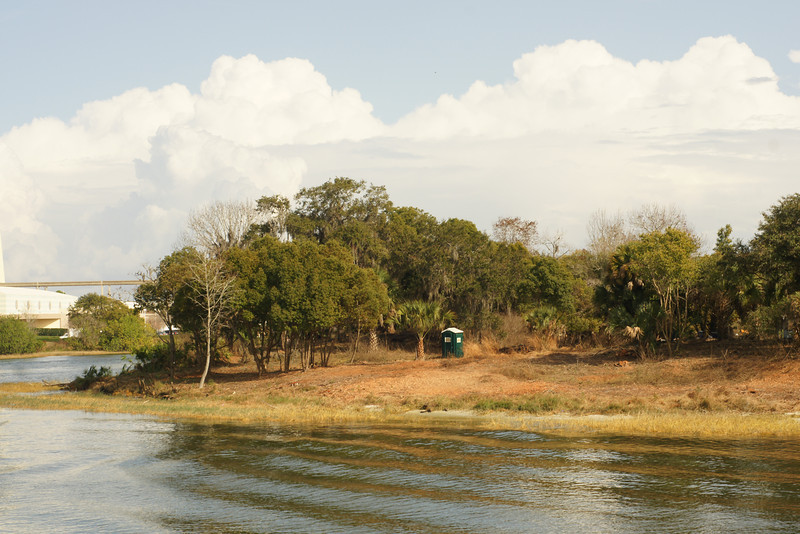 overgrowth getting cleared away overgrowth getting cleared away