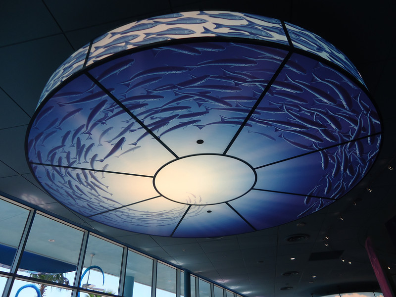 Lighting fixture for the Finding Nemo part of food court Lighting fixture for the Finding Nemo part of food court