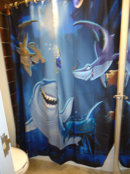 Shower curtain in other bathroom Shower curtain in other bathroom