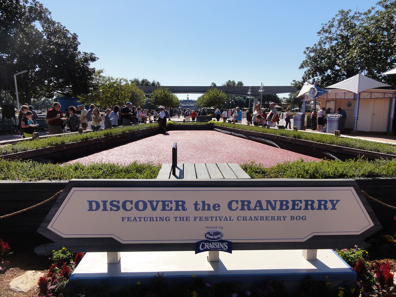 Photo & Video Sharing by SmugMug