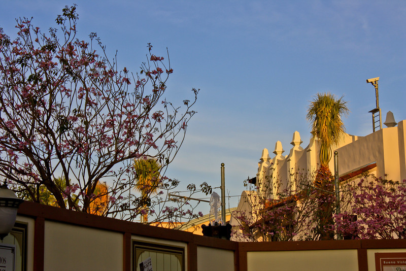 Fountain up and running on Buena Vista Street.