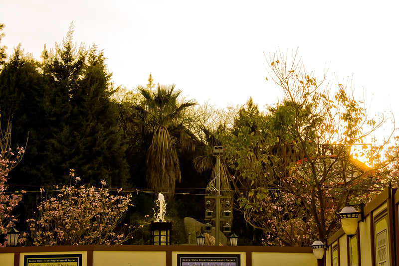 Fountain up and running on Buena Vista Street.