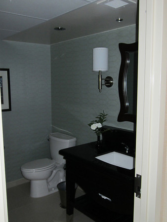 There were two bathrooms in this suite.  This one was located adjacent to the kitchen.