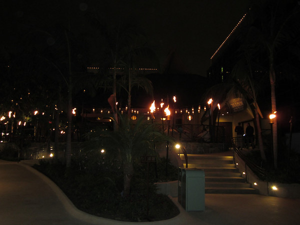 Trader Sam's Enchanted Tiki Bar at night.  The tiki torches add a nice touch.  They also have a live band playing Pacific Island style songs on certain nights of the week.