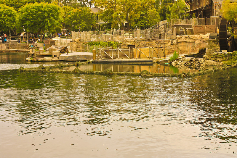 I wonder what this new thing is?