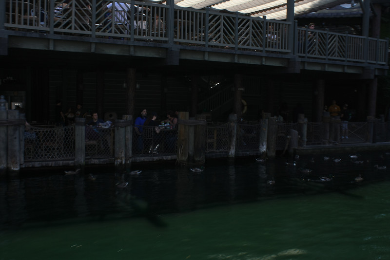 If Duck's had an In N Out...it'd be here. I still say these are the luckiest ducks in the world.