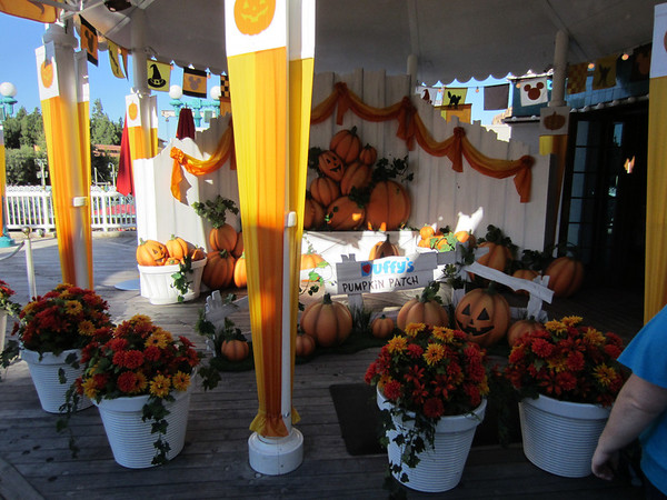 Duffy's special picture spot.