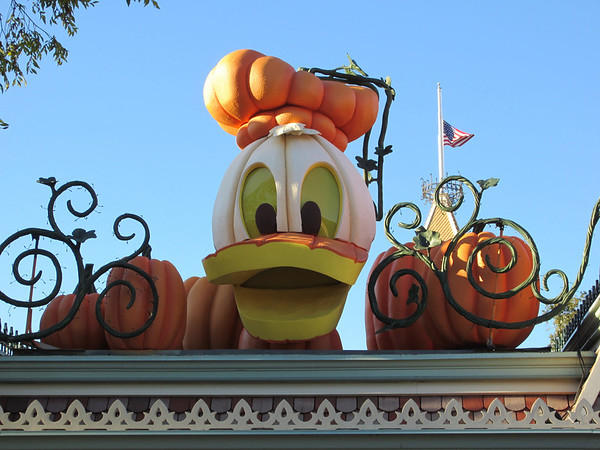 Photo & Video Sharing by SmugMug