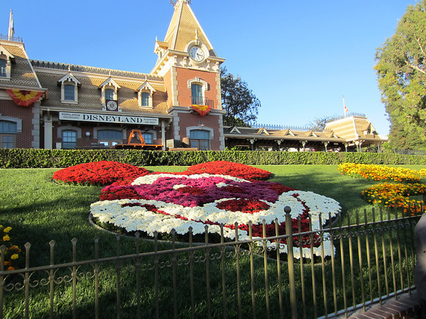 Who is that Masked Mouse?