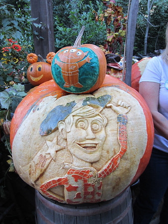 Photo & Video Sharing by SmugMug