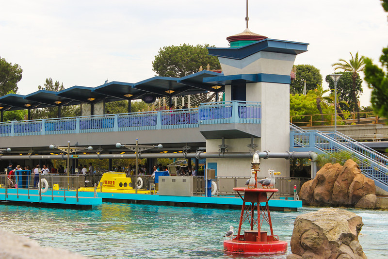 One of these seagulls is real.