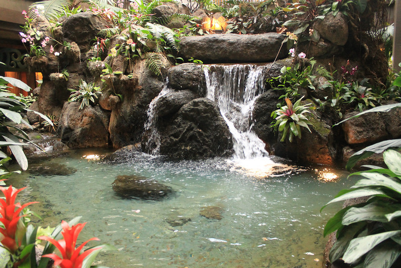 Photo & Video Sharing by SmugMug