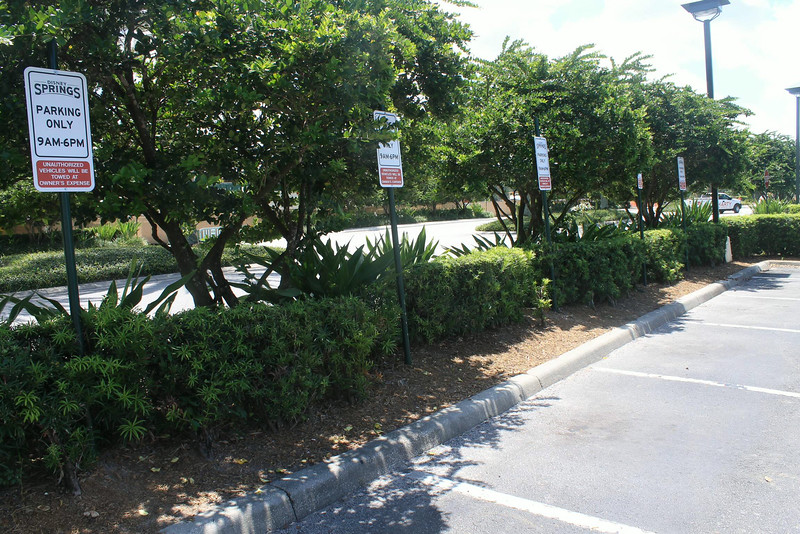 Photo & Video Sharing by SmugMug