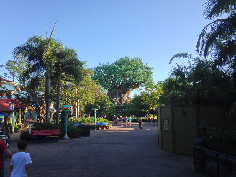 Photo & Video Sharing by SmugMug Photo & Video Sharing by SmugMug