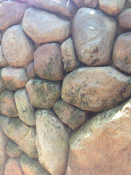 Photo & Video Sharing by SmugMug Photo & Video Sharing by SmugMug