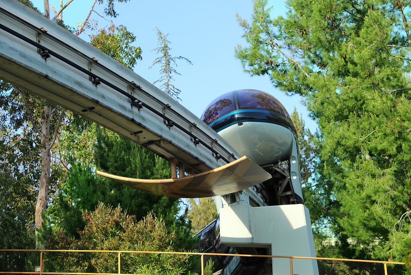 Future in the Forest.