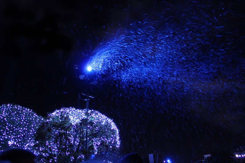 Shortly after the Disneyland fireworks show on the evening of January 4th, a freak snowstorm struck Anaheim. Fortunately for travelers, the frozen precipitation subsided after only a few  minutes.